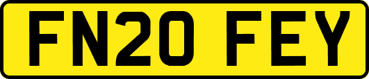 FN20FEY