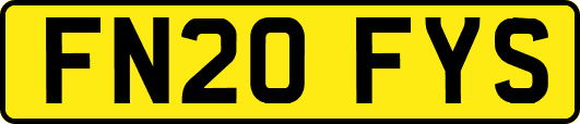 FN20FYS