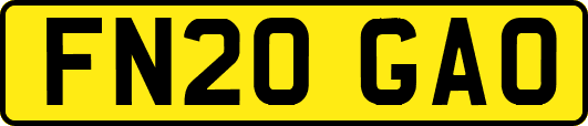 FN20GAO