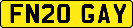 FN20GAY