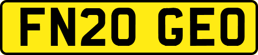 FN20GEO