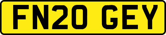 FN20GEY