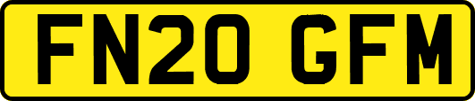 FN20GFM