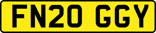 FN20GGY
