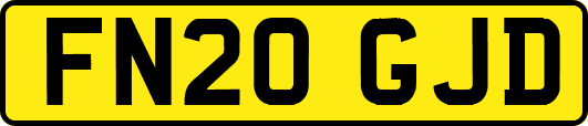 FN20GJD
