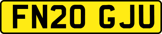 FN20GJU