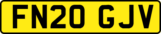 FN20GJV