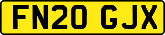 FN20GJX
