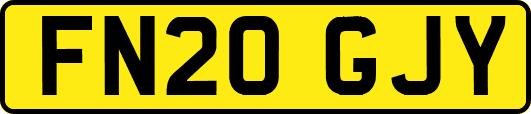 FN20GJY