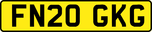 FN20GKG