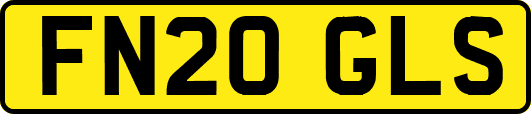 FN20GLS