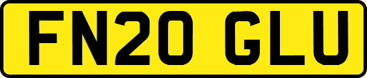 FN20GLU