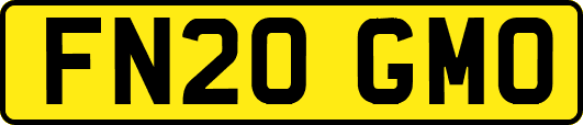 FN20GMO