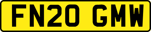 FN20GMW
