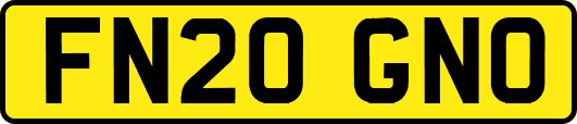 FN20GNO