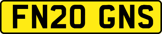 FN20GNS