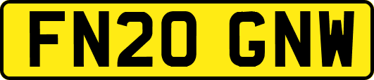 FN20GNW