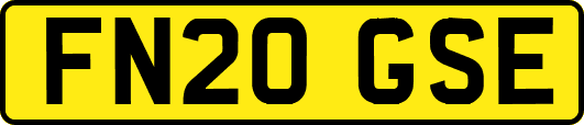 FN20GSE