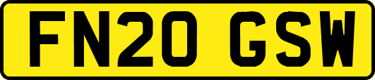FN20GSW