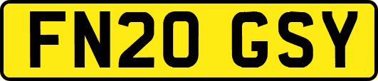 FN20GSY