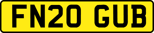 FN20GUB