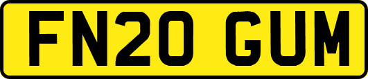 FN20GUM