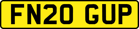 FN20GUP