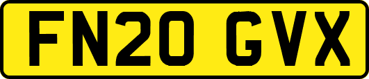 FN20GVX
