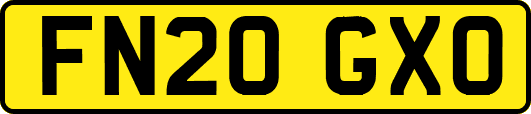FN20GXO