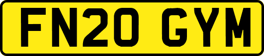 FN20GYM