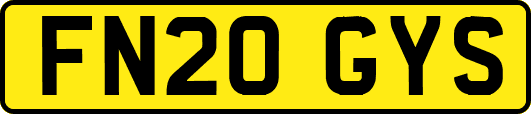 FN20GYS