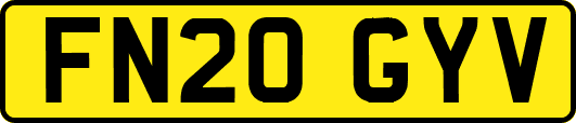 FN20GYV
