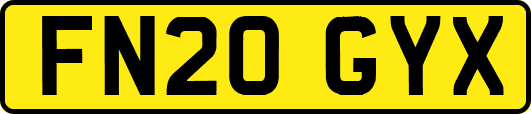 FN20GYX
