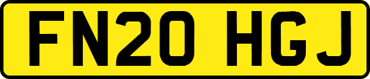 FN20HGJ