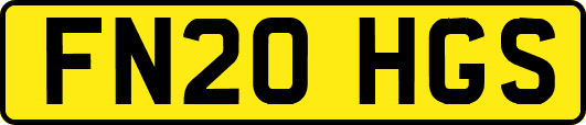 FN20HGS