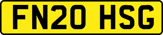 FN20HSG
