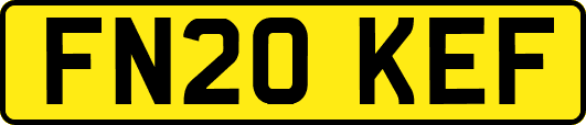 FN20KEF