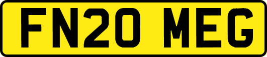 FN20MEG