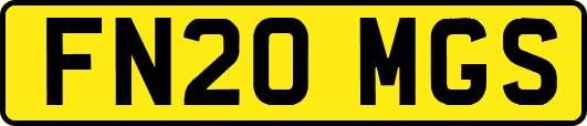 FN20MGS