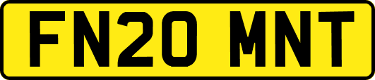 FN20MNT