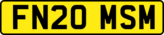FN20MSM