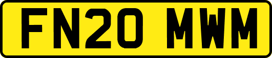 FN20MWM
