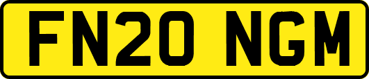 FN20NGM