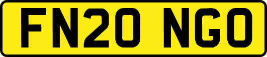 FN20NGO