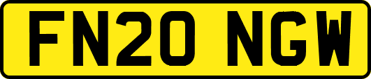 FN20NGW
