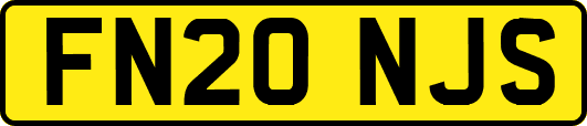 FN20NJS