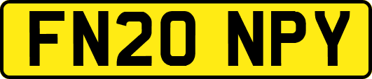 FN20NPY