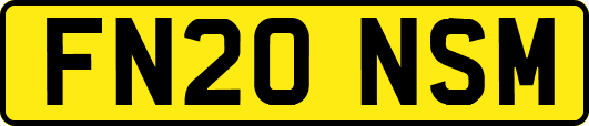 FN20NSM