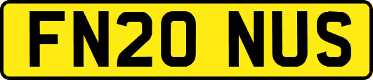 FN20NUS