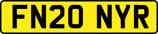 FN20NYR